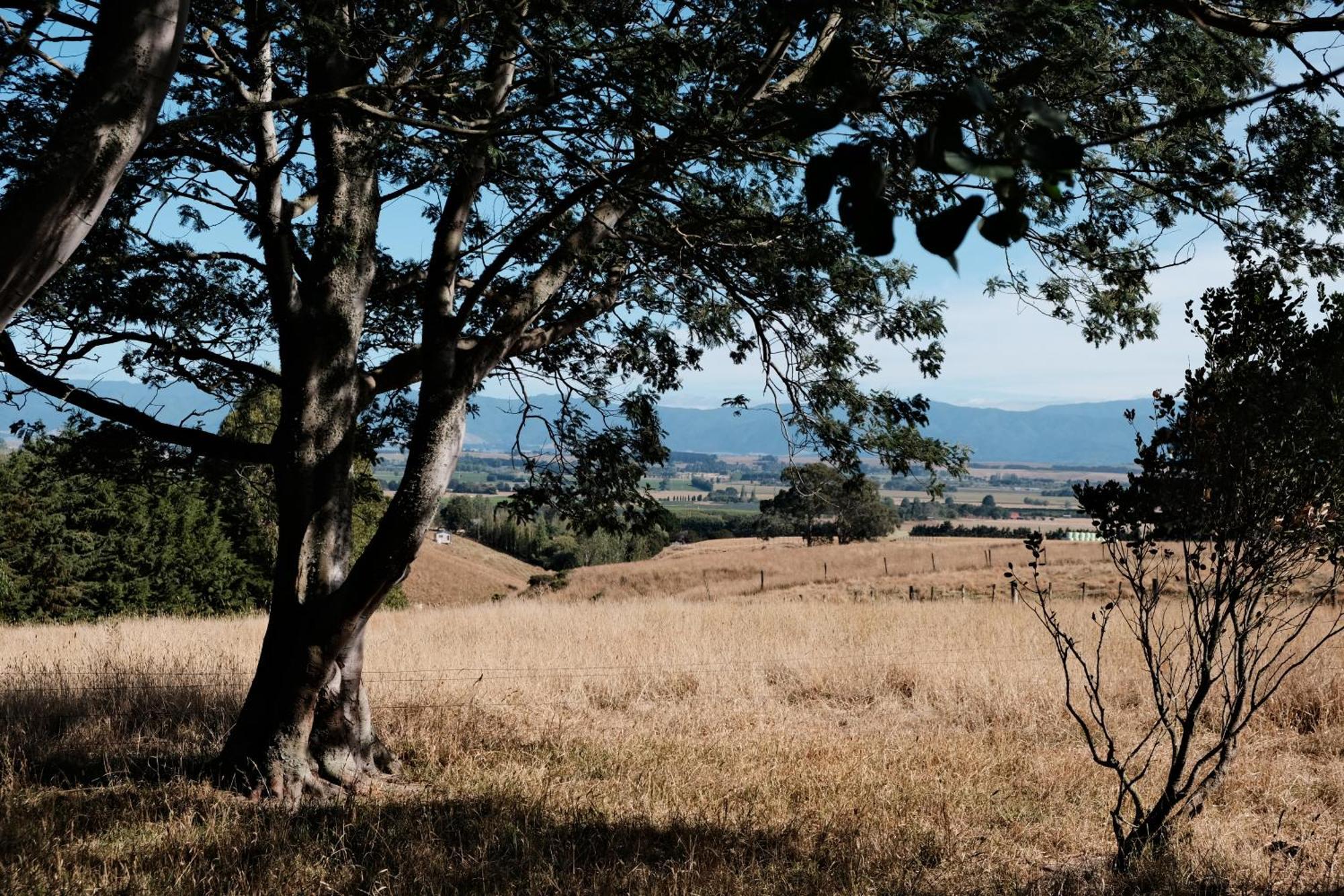 A Cabin With A Big View, Comfort And Tranquility, Close To Vines Martinborough Εξωτερικό φωτογραφία